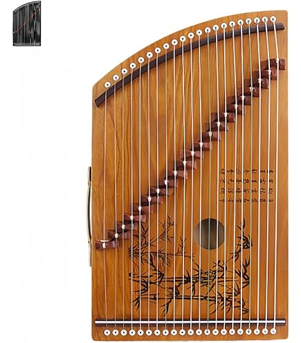 Amazon.co.jp: ゼンオン 六尺十七弦箏 : 楽器・音響機器
