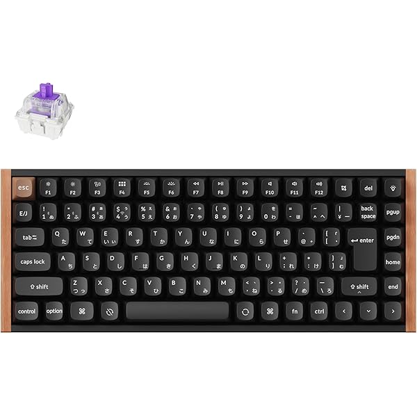 Amazon.co.jp: Geekria 75% キーボードケース、84キーポータブル