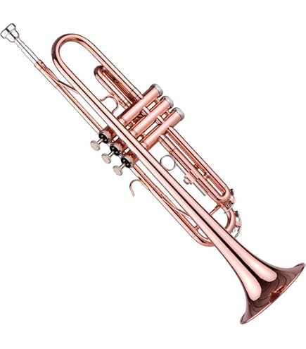 Amazon.co.jp: ヤマハ YAMAHA トランペット YTR-2330S : 楽器・音響機器