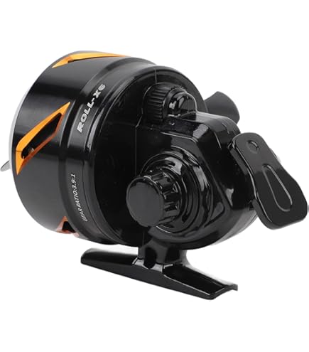 Amazon | Penn Reels 海水レバードラッグ INT80VISWS