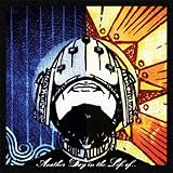 Another Day in the Life of