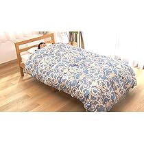 新品　ディノス　フロートダウン　合繊掛け布団　シングルサイズ Amazon｜ディノス 寝具 合繊掛け布団 フロートダウン掛け布団