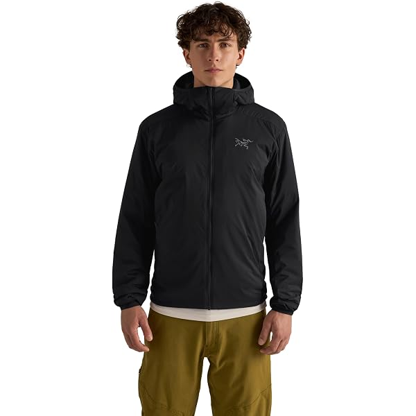 Amazon.co.jp: [アークテリクス] ARCTERYX ベータジャケット男性用