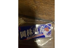 中日ドラゴンズプロフィールキーホルダー岡林勇希選手