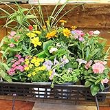 Amazon Co Jp ハッピーガーデン 店長おまかせ8苗セット 用途に合わせて選べる2タイプ 鉢植え用 Diy 工具 ガーデン