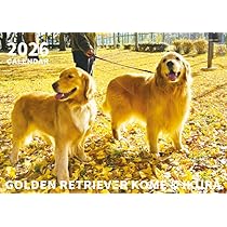 Amazon | 【予約販売】 コメ&イクラ ゴールデンレトリバー 犬 2026年