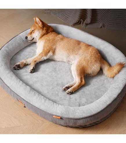 Amazon | Doggybo Midi ドギボー ミディ キャメル ペッドベッド 犬用