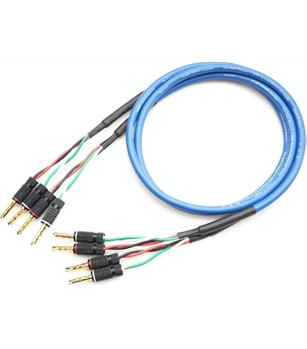 Amazon | ZONOTONE 6NSP-Granster 5500α 2本ペア ベリリウム銅製