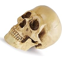 超入手困難　スカル.ガイコツ.ドクロ.ヒッピームーブメント・サイケデリック 超入手困難 スカル.ガイコツ.ドクロ.ヒッピームーブメント