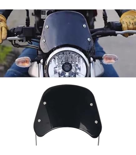 Amazon | ドレミコレクション リペア スクリーン Z900RS ストーン