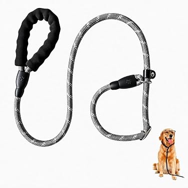 Amazon.co.jp 最新リリース: 犬用リード の新着ランキングです。