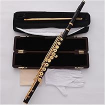 61atZC7sFmL._AC_UL210_SR210,