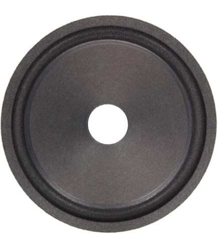 円形コーンスピーカー 約３８cm２本 ドイツ製 RFT 216MB Wコーン楕円型フルレンジ、ヴィンテージスピーカー