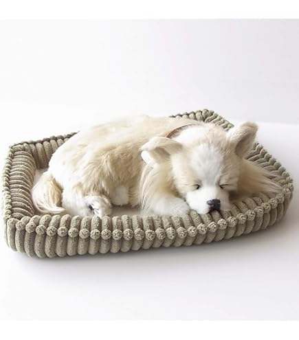 Amazon.co.jp: ニニアンドキノ パーフェクトペット (小サイズ