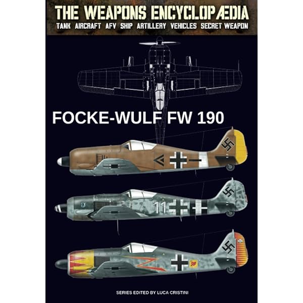 Amazon | Focke Wulf FW 190: From 1940-1945 (Planes and Pilots S