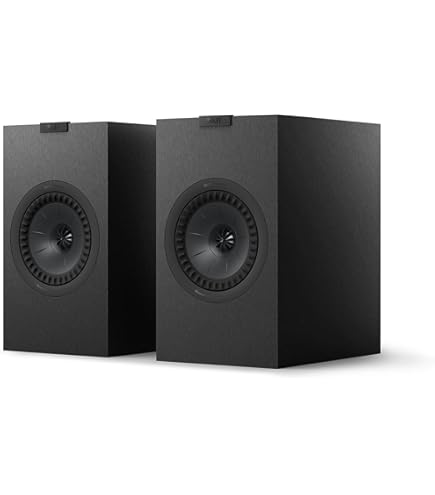 Amazon | KEF ステレオスピーカーシステムR300/PB(ブラック)(ペア