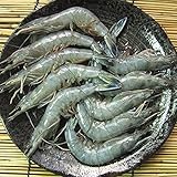 お刺身用 天使の海老1kg ニューカレドニア産
