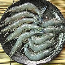 しょう　天使の海老2kg Amazon | お刺身用 天使の海老1kg ニューカレドニア産 | ASK