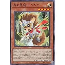 遊戯王 聖霊獣騎カンナホーク 25th 1枚 Amazon.co.jp: 遊戯王カード 聖霊獣騎 カンナホーク(新規