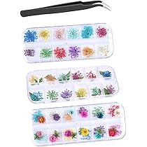 Amazon | 押し花 ネイルパーツ 6個セット ドライフラワー ネイルパーツ