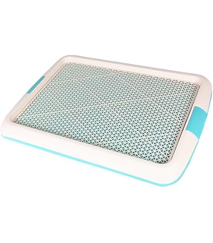 Amazon | 花王 ワンだふる清潔トイレ 専用さらさらのカバー | ワンだ