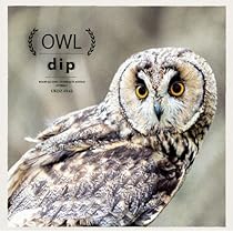 OWL CDセット Amazon.co.jp: OWL: ミュージック