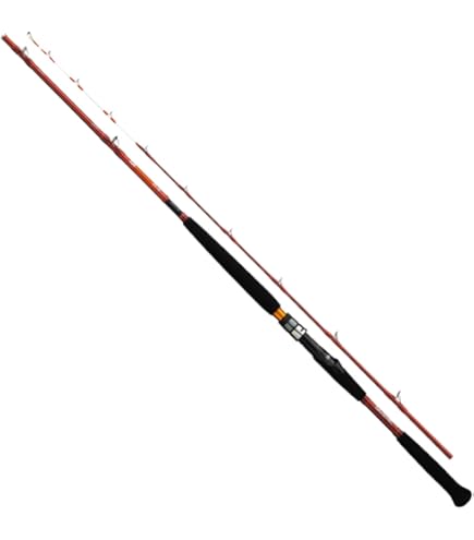 Amazon | ダイワ(Daiwa) 船竿 ベイト 先鋭 剣崎 60-270MT 釣り竿 