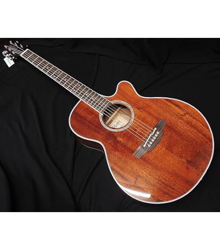 Amazon | Takamine/タカミネ EF341SC BL エレアコギター 【ワールド
