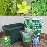 小さな緑のカーテン栽培セット（底面給水機能付き）：あばしゴーヤ（苦瓜・ニガウリ）* ノーブランド品