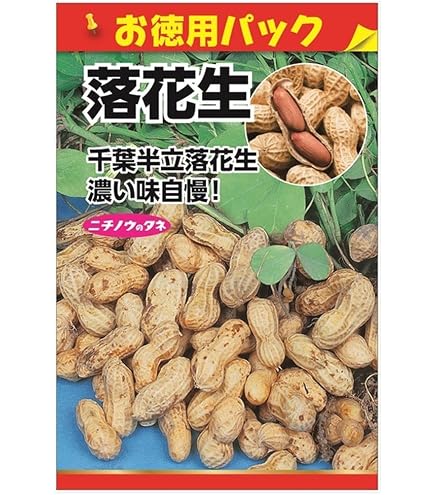 おおまさり種500粒 Amazon.co.jp: おおまさり種 500粒 : DIY・工具・ガーデン