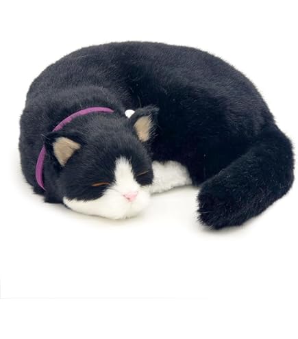 Amazon.co.jp: ねむネコ 飾り帯BIG ぬいぐるみ －約33cm－ (B