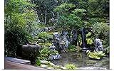 GREAT BIGキャンバスポスター印刷entitled Zen Garden with洗面台、滝、jikko-in 48" x 32" 1967064_13_48x32_none