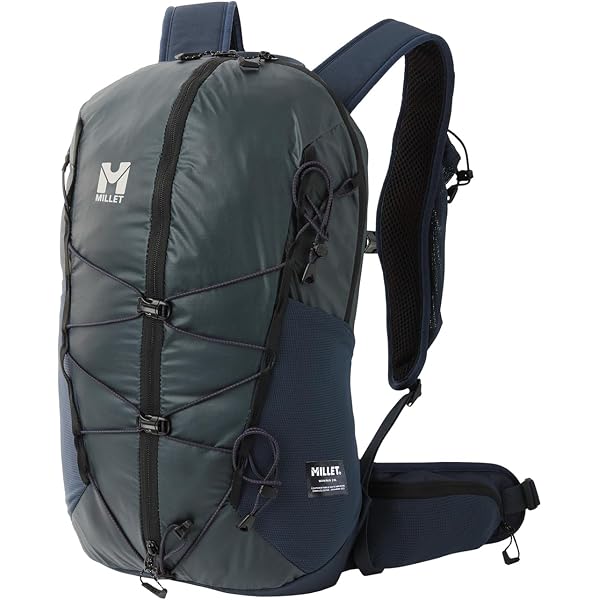 Amazon.co.jp: [ミレー] 登山リュック・ザック WANAKA ワナカ 20