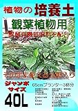 植物の培養土（微生物入り） 観葉植物用 ジャンボサイズ40L