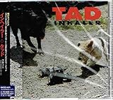 �C���w�C���[