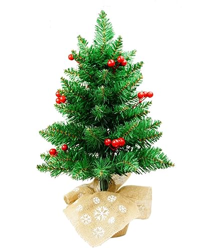 Amazon.co.jp: トーマス・キンケード イルミネーション キリスト降誕