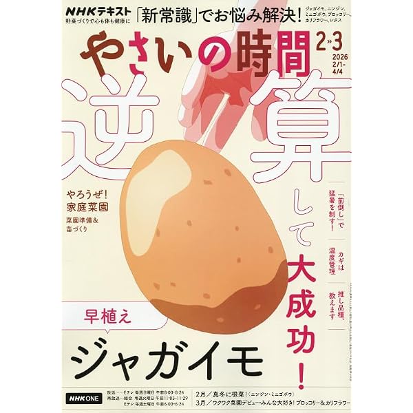 NHK趣味の園芸 やさいの時間 はじめてでも大収穫! 野菜づくり超入門