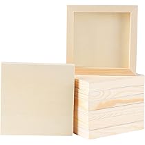 C105 えーろく キャンパスパネル Amazon.co.jp: ADXCO 木製パネル 8枚パック 6 x 6インチ 未完成