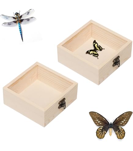 Amazon | 標本箱透明昆虫蝶標本箱 昆虫標本展示ボックス 蝶園