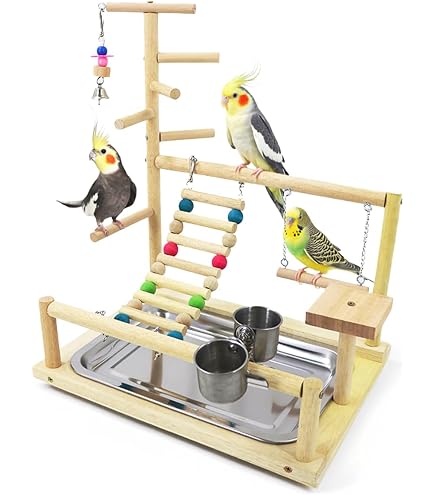 バードアスレチック バードアスレチックジム 小鳥、止まり木、卓上型 Amazon | バードアスレチック 鳥アスレチック 止まり木 パーチ 天然木