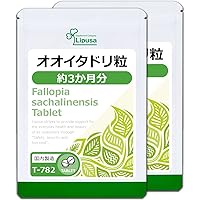 Amazon | マイケア イタドリ 2箱セット 90粒×2箱（約60日分