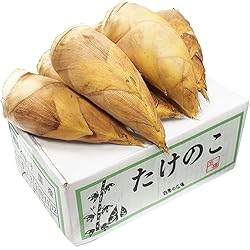 徳島県産 たけのこ 約2kg タケノコ 筍 徳島県産 たけのこ 約2kg タケノコ 筍。