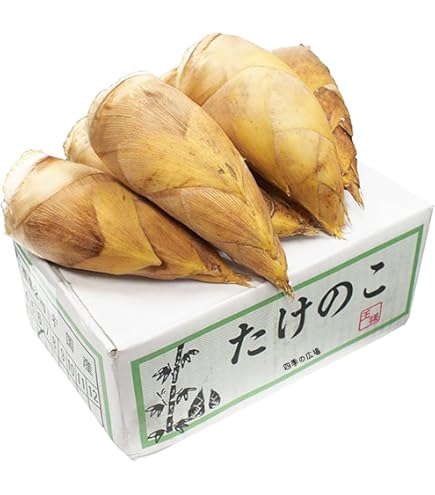Amazon.co.jp: 生たけのこ 約2kg 箱 6〜8本 筍｜フレッシュタケノコ 生