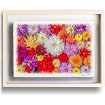 自然・風景写真 花のアート　A3 額装済み　作品プリント b8796e2aeaa52d3702fce4b65e4b6f