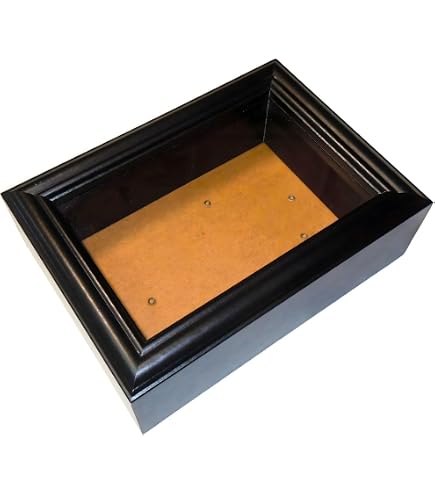 Amazon.co.jp: 【UVカット】小型ドイツ型標本箱[白]（注意事項を読ん