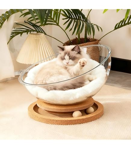Amazon | PullCrease 38個 子猫用品 スターターキット 猫の必需品