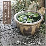 信楽焼 13号窯肌クシ目鉢 睡蓮鉢 スイレン鉢 金魚鉢 水鉢 陶器 su-0172