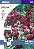 英国ミスターフォザーギルズシード＆ジョンソンシード Clarkia Choice Double Mixed クラーキア・チョイス・ダブル・ミックス