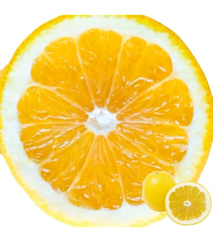 Amazon.co.jp: 【中玉サイズ】【ご家庭用】高知特産 土佐文旦 2L～L
