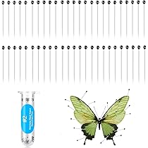 61bL9a03PSL._AC_UL210_SR210,